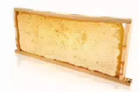 Imkerpur Ganzes Wabenrähmchen