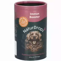 Immun Booster – Zur Stärkung Des Immunsystems
