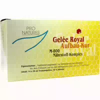 Gelee Royal Aufbaukur M800 Trinkampullen 14x20 G Trinkampullen