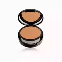 Ga De High Performance Compact Foundation 04 Almond