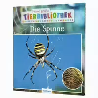 Meine Große Tierbibliothek: Die Spinne