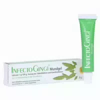 Infectogingi Mundgel 6 G Gel