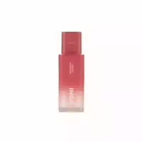 Inga Velvet Choux Tint 4 5g Tangerine Pie