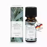Pajoma Ätherisches Eukalyptus Öl 10 Ml