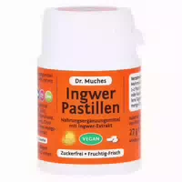 Ingwer Pastillen Dr Muches Zuckerfrei 27 G