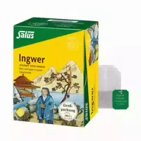 Ingwer Kräuter Gewürztee Mischung Bio Sa 40 St