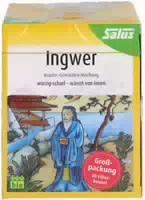 Ingwer Kräuter Gewürztee Mischung Bio Salus 40 Beutel