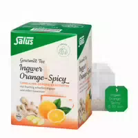 Salus Ingwer Orange Spicy Tee 15 St Filterbeutel
