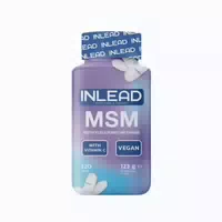 Inlead Msm Vitamins