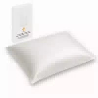 Inphysio Anti Aging Kissenbezug “soie De Peau” aus 6a Maulbeerseide