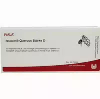 Iscucin Quercus Stärke D Ampullen 10x1 ml