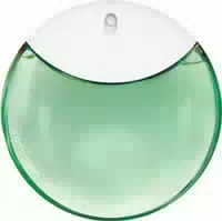 Issey Miyake A Drop Dissey Eau De Parfum Essentielle A Drop Dissey Im 2023 V3 Edp 30ml
