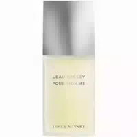 Issey Miyake Leau Dissey Homme Eau De Toilette Spray 75ml Eleganter Herrenduft