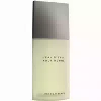 Issey Miyake, Leau Dissey Pour Homme Edt Nat Spray