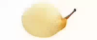 Birnen Nashi