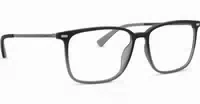 Jaguar 36834 6500 15 55 Sonnenclip