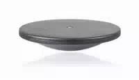Gym Top Therapiekreisel – Balance Board für Training & Therapie