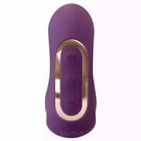 Javida Javida 4 Function Vibrator