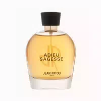 Jean Patou Adieu Sagesse Eau De Parfum Spray 100ml Für Frauen 0,1 L