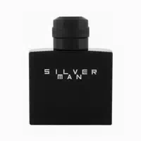 Jeanne Arthes Silver Man Eau De Toilette 100ml Spray 0,1 L