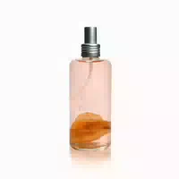Jimmy Boyd Cologne Intense Wild Roses 200 Ml