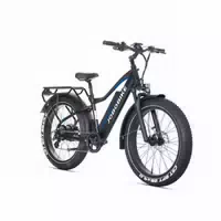 Jobobike Robin Pro Elektrisches Mountainbike, 48v 20ah Akku, Shimano 8 Gang Schaltung