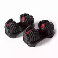 Bowflex Selecttech 552i Hanteln Paar Paar 1 St