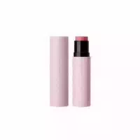 Joocyee Satin Multi Purpose Stick 5 2g S407 Smoky Pink