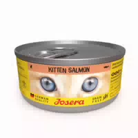 Josera Kitten Salmon 12 X 85 g