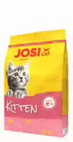 Josicat Kitten