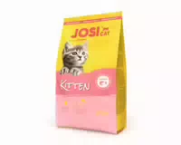 Josicat Kitten