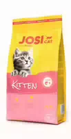 Josicat Kitten