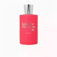 Juliette Has A Gun Mmmm Eau De Parfum Spray 100ml 0,1 L