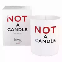 Juliette Has A Gun Parfums Not A Candle