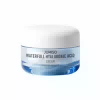 Jumiso Waterfull Hyaluronic Acid Cream