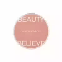 Jungsaemmool Artist Cushion Blush 4g Ruddy Beige