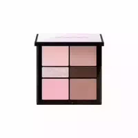 Jungsaemmool Artist Eye Palette 14 5g Red Brown