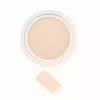 Jungsaemmool Pro Lasting Flawless Fit Mesh Cushion Refill Only Spf50 Pa 14g 22 Light