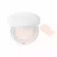 Jungsaemmool Pro Lasting Flawless Fit Mesh Cushion Spf50 Pa 14g 17 Fair
