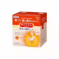 Kao Megrhythm Steam Thermo Patch 16p 16stück