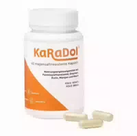 Karadol Magensaftresistente Kapseln 120 St