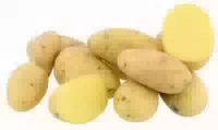 Kartoffeln Gala Vorwiegend Festkochend