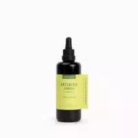 Artemisia Annua Pflanzenauszug K&l 100 ml