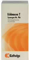 Synergon 4 A Echinacea T 100 Tabletten