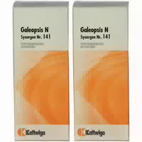 Synergon 141 Galeopsis N Tropfen