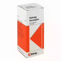 Pulmo Kattwiga N Tropfen 50 ml Tropfen