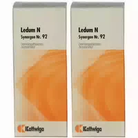 Synergon 92 Ledum N Tropfen