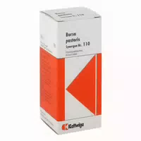 Synergon Komplex 110 Bursa Pastoris Tropfen 50 Ml Tropfen