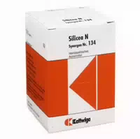 Synergon Komplex 134 Silicea N Tabletten 100 st Tabletten