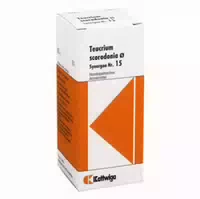 Synergon Komplex 15 Teucrium Urtinktur 50 Ml Tropfen